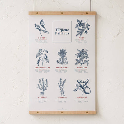 GoldLeaf Terpene Food & Wine Pairing Chart Print Best Sales Price - Art Prints