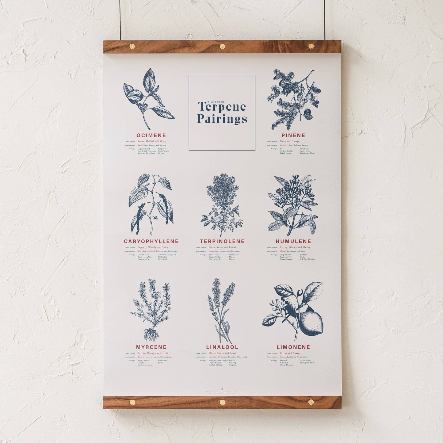 GoldLeaf Terpene Food & Wine Pairing Chart Print Best Sales Price - Art Prints