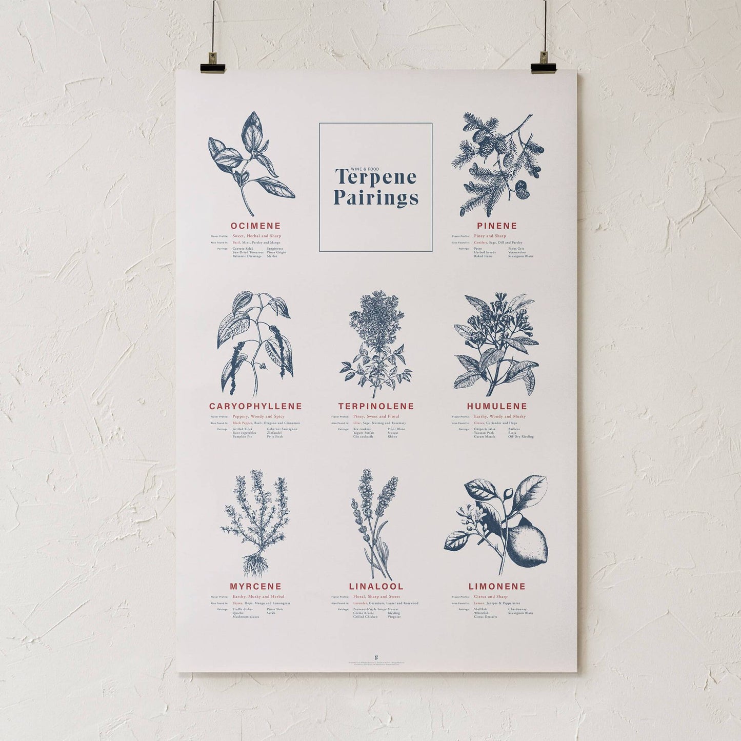 GoldLeaf Terpene Food & Wine Pairing Chart Print Best Sales Price - Art Prints