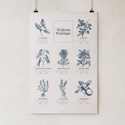 GoldLeaf Terpene Food & Wine Pairing Chart Print Best Sales Price - Art Prints