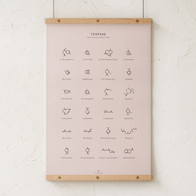 GoldLeaf Terpene Molecular Structures Chart Print Best Sales Price - Art Prints