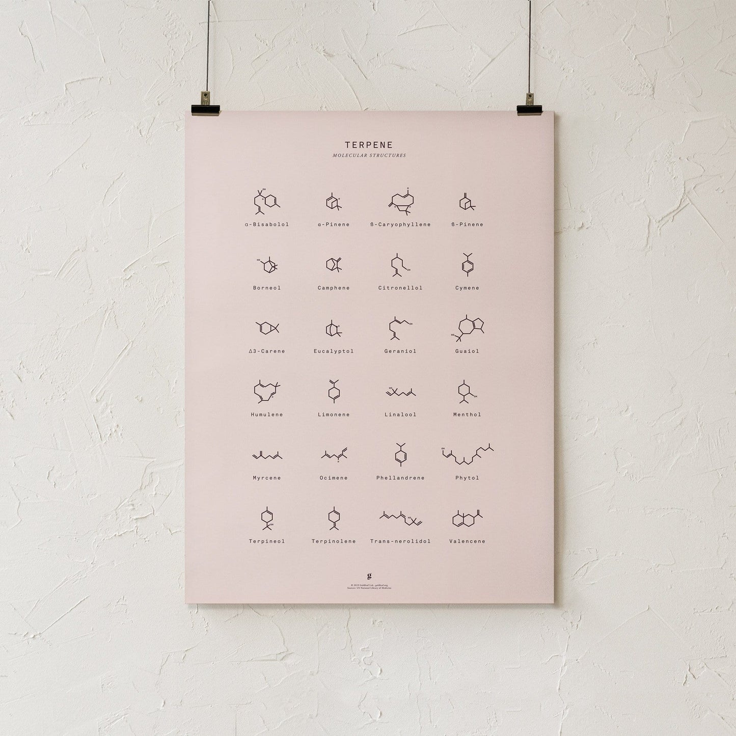 GoldLeaf Terpene Molecular Structures Chart Print Best Sales Price - Art Prints