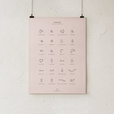 GoldLeaf Terpene Molecular Structures Chart Print Best Sales Price - Art Prints