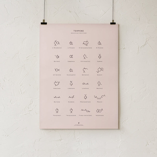 GoldLeaf Terpene Molecular Structures Chart Print Best Sales Price - Art Prints
