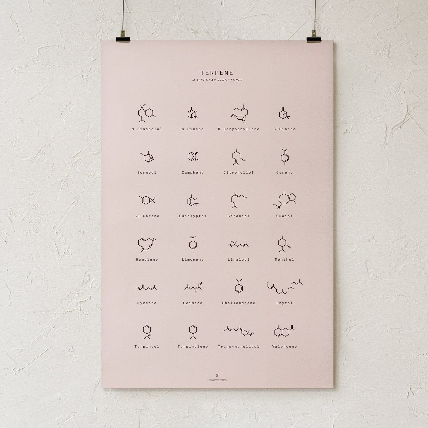 GoldLeaf Terpene Molecular Structures Chart Print Best Sales Price - Art Prints