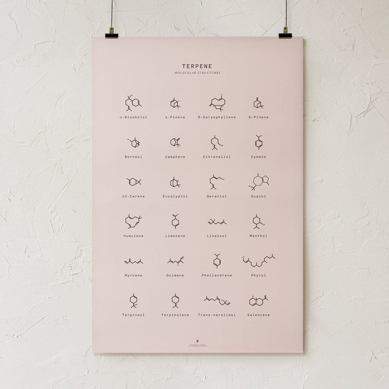 GoldLeaf Terpene Molecular Structures Chart Print Best Sales Price - Art Prints