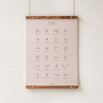 GoldLeaf Terpene Molecular Structures Chart Print Best Sales Price - Art Prints
