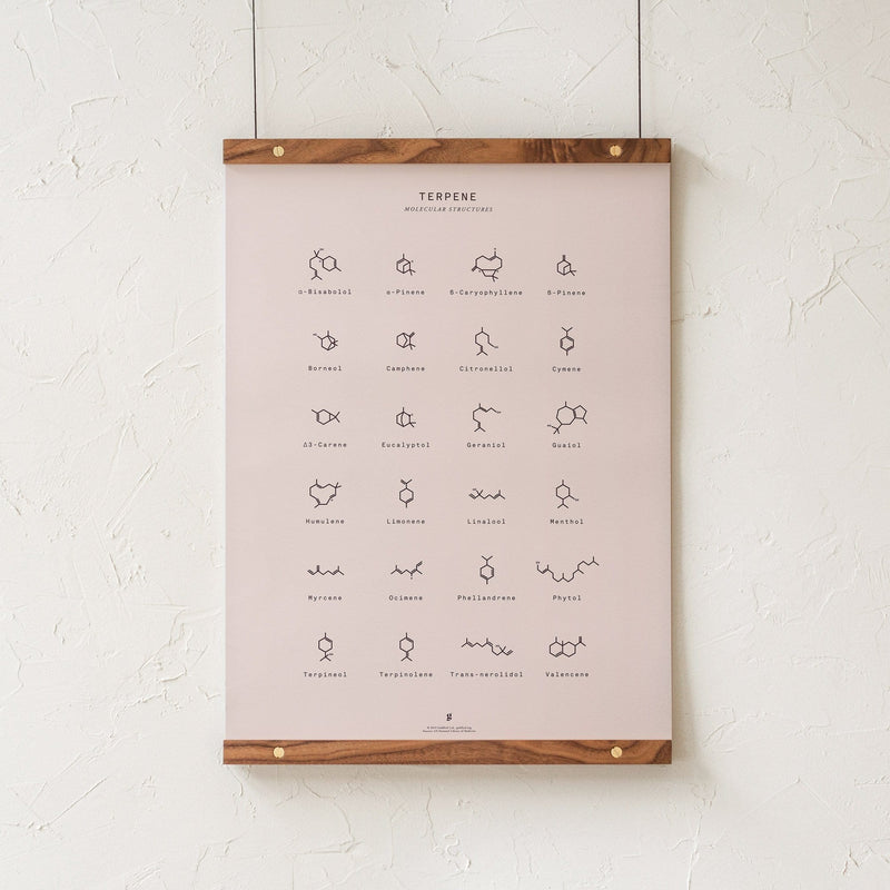 GoldLeaf Terpene Molecular Structures Chart Print Best Sales Price - Art Prints