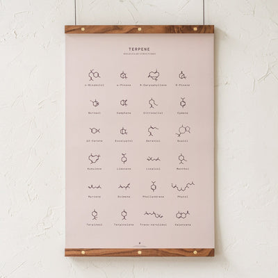 GoldLeaf Terpene Molecular Structures Chart Print Best Sales Price - Art Prints