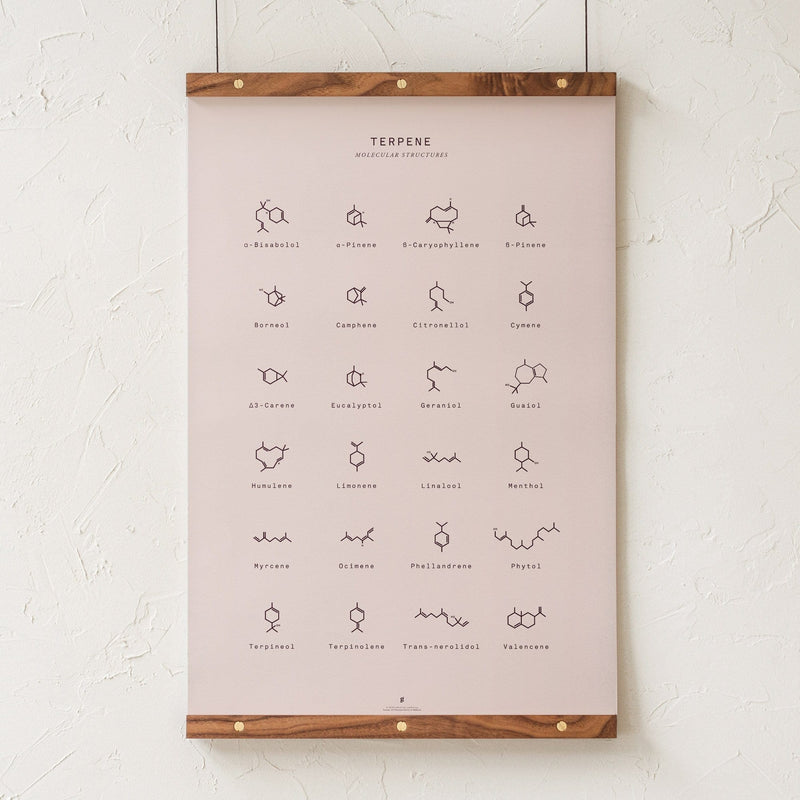 GoldLeaf Terpene Molecular Structures Chart Print Best Sales Price - Art Prints