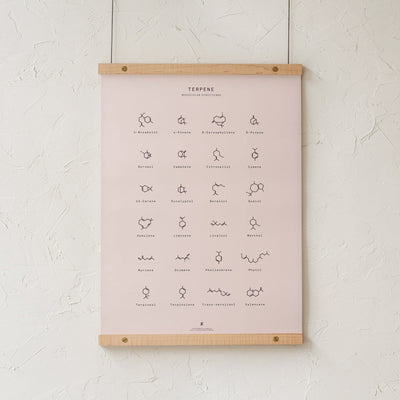 GoldLeaf Terpene Molecular Structures Chart Print Best Sales Price - Art Prints