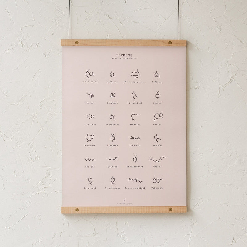 GoldLeaf Terpene Molecular Structures Chart Print Best Sales Price - Art Prints