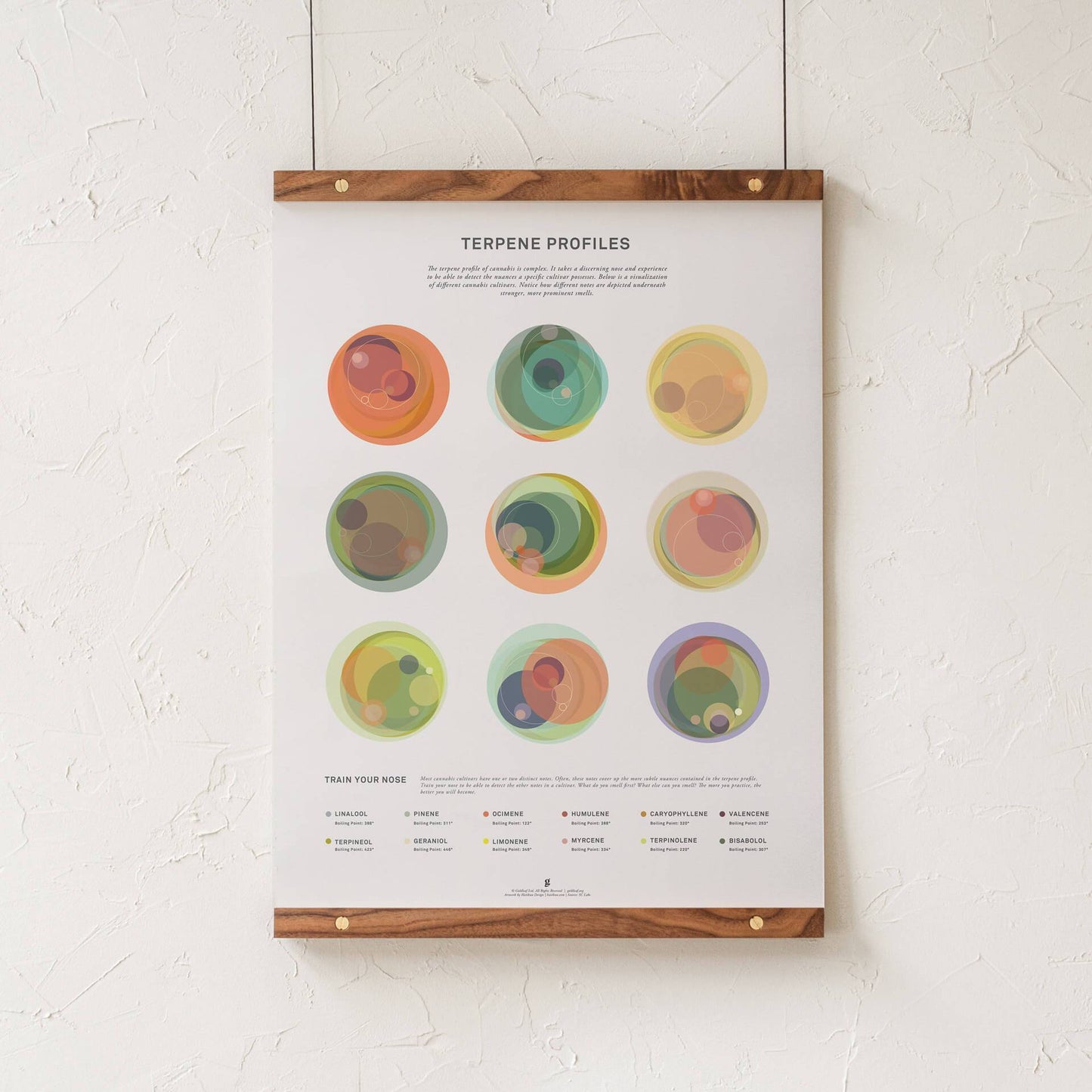 GoldLeaf Terpene Profile Illustration Print Best Sales Price - Art Prints