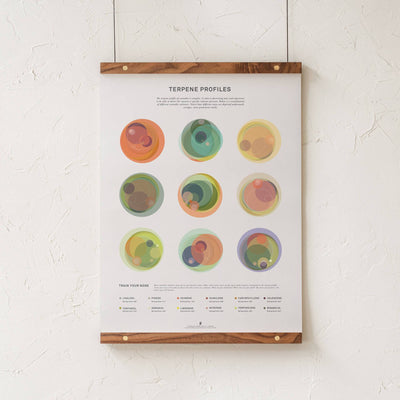 GoldLeaf Terpene Profile Illustration Print Best Sales Price - Art Prints