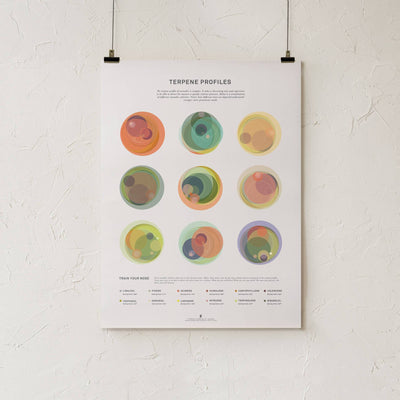 GoldLeaf Terpene Profile Illustration Print Best Sales Price - Art Prints