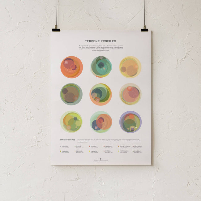 GoldLeaf Terpene Profile Illustration Print Best Sales Price - Art Prints