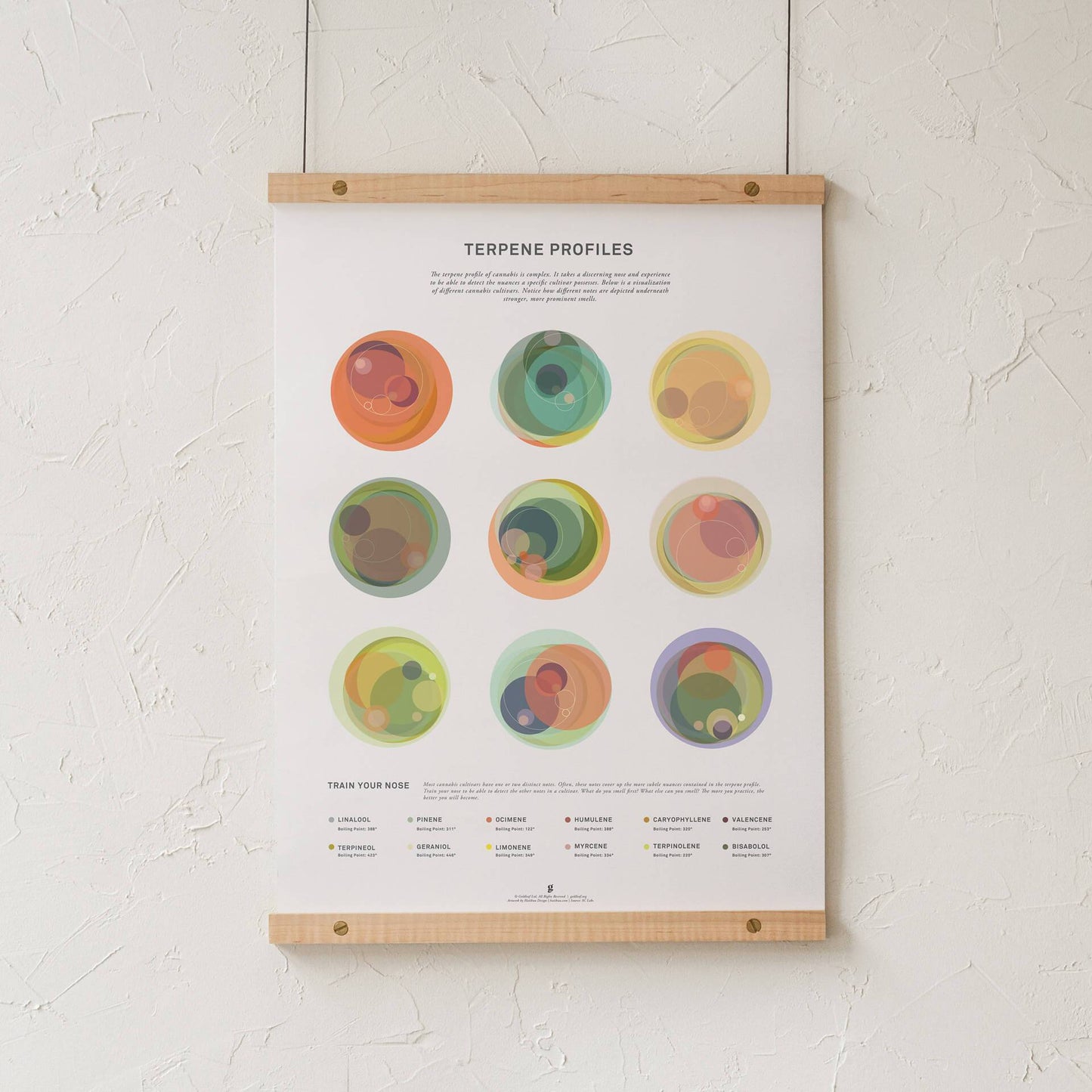 GoldLeaf Terpene Profile Illustration Print Best Sales Price - Art Prints
