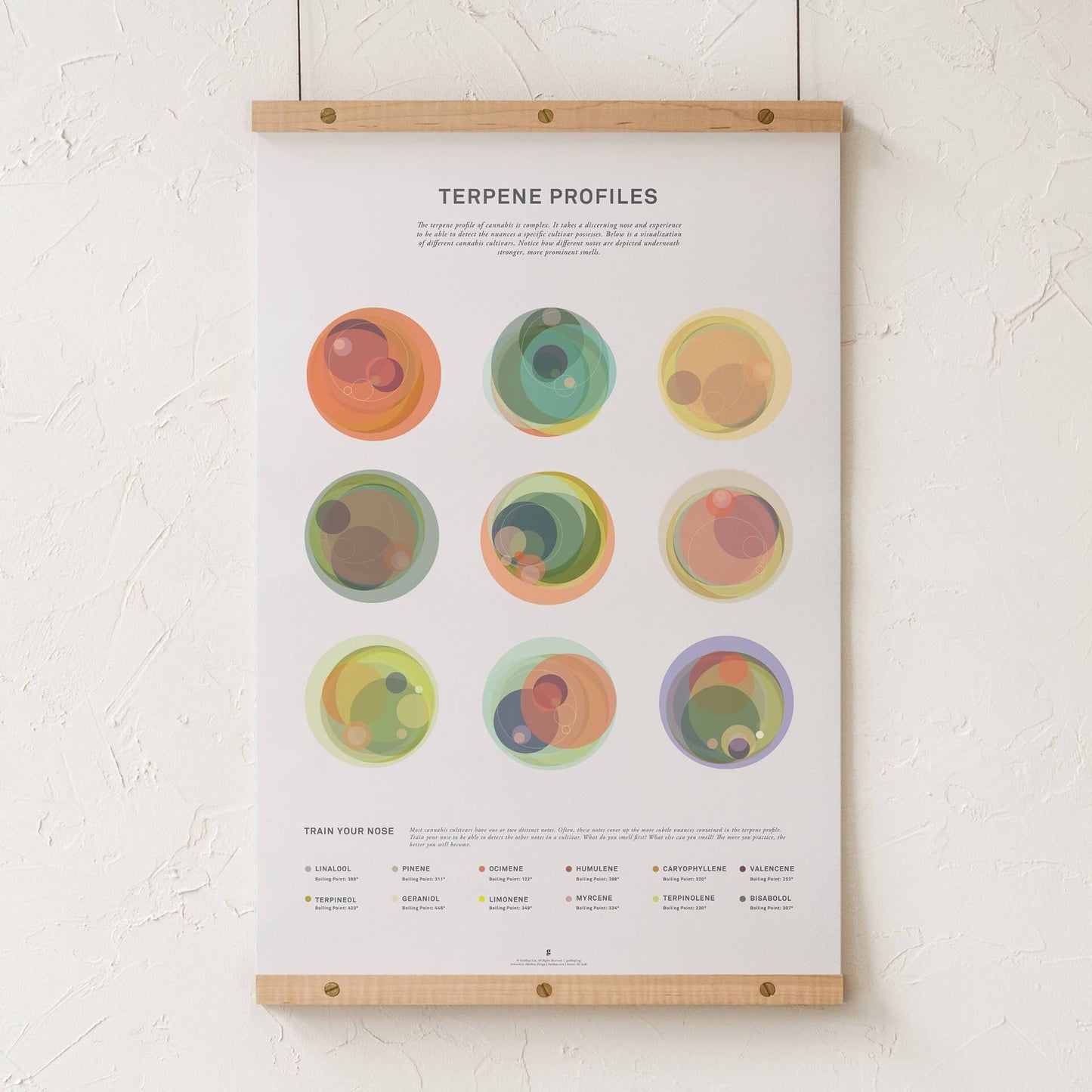 GoldLeaf Terpene Profile Illustration Print Best Sales Price - Art Prints