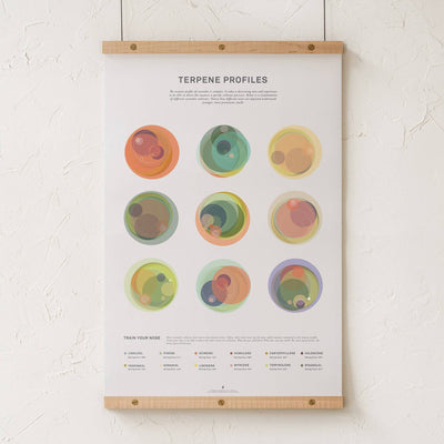 GoldLeaf Terpene Profile Illustration Print Best Sales Price - Art Prints