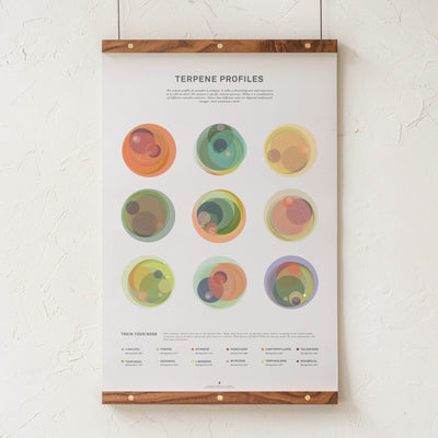 GoldLeaf Terpene Profile Illustration Print Best Sales Price - Art Prints