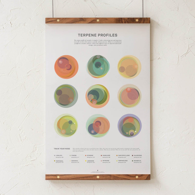 GoldLeaf Terpene Profile Illustration Print Best Sales Price - Art Prints