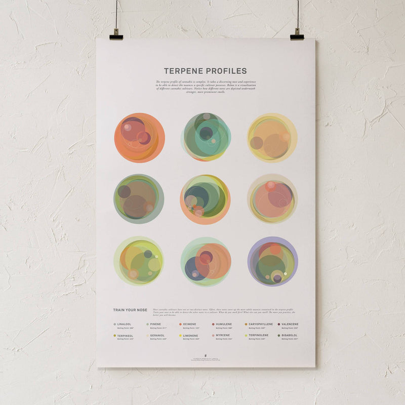 GoldLeaf Terpene Profile Illustration Print Best Sales Price - Art Prints