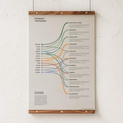 GoldLeaf Impresión Infográfica de Terpenos Best Sales Price - Art Prints