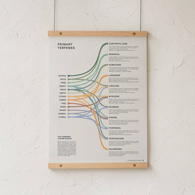 GoldLeaf Impresión Infográfica de Terpenos Best Sales Price - Art Prints