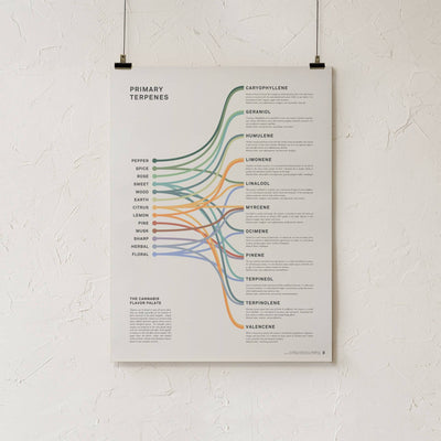 GoldLeaf Terpenes Infographic Print Best Sales Price - Art Prints