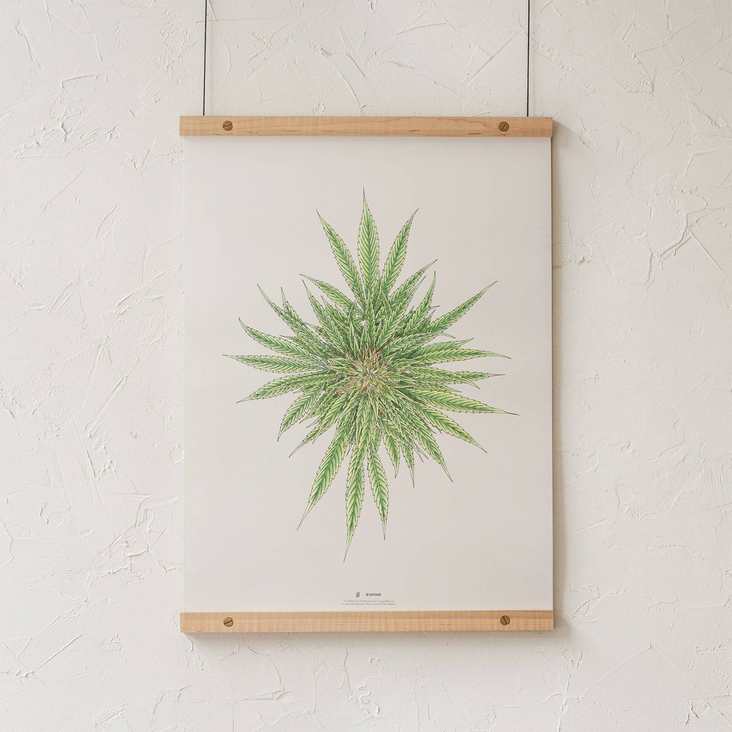 GoldLeaf White Dawg Botanical Illustration Print Best Sales Price - Art Prints