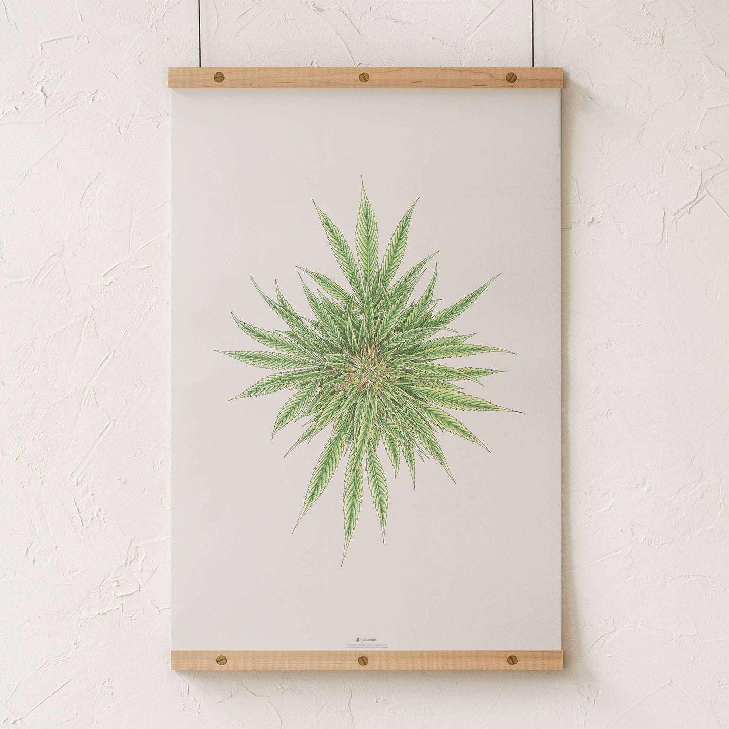 GoldLeaf White Dawg Botanical Illustration Print Best Sales Price - Art Prints