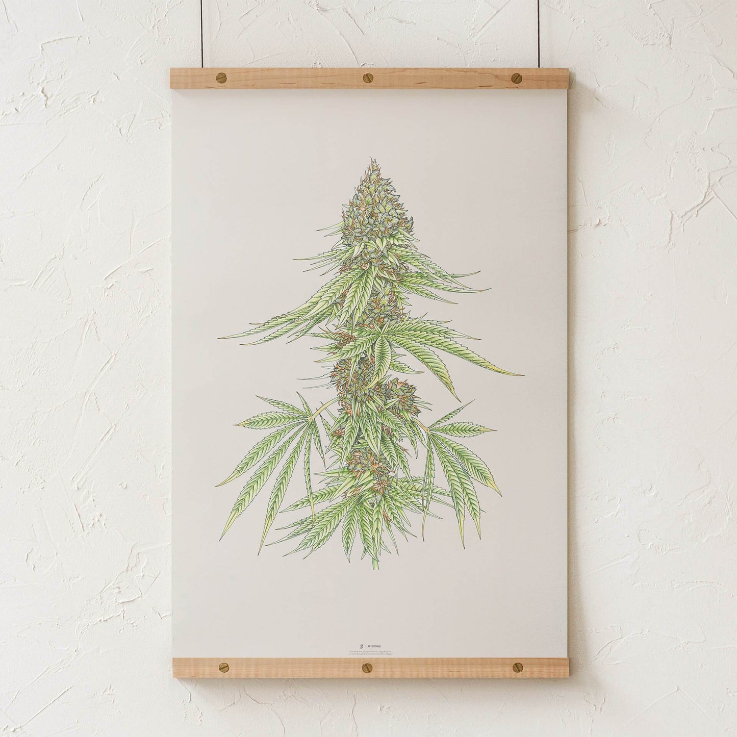 GoldLeaf White99 #1 Botanical Illustration Print Best Sales Price - Art Prints