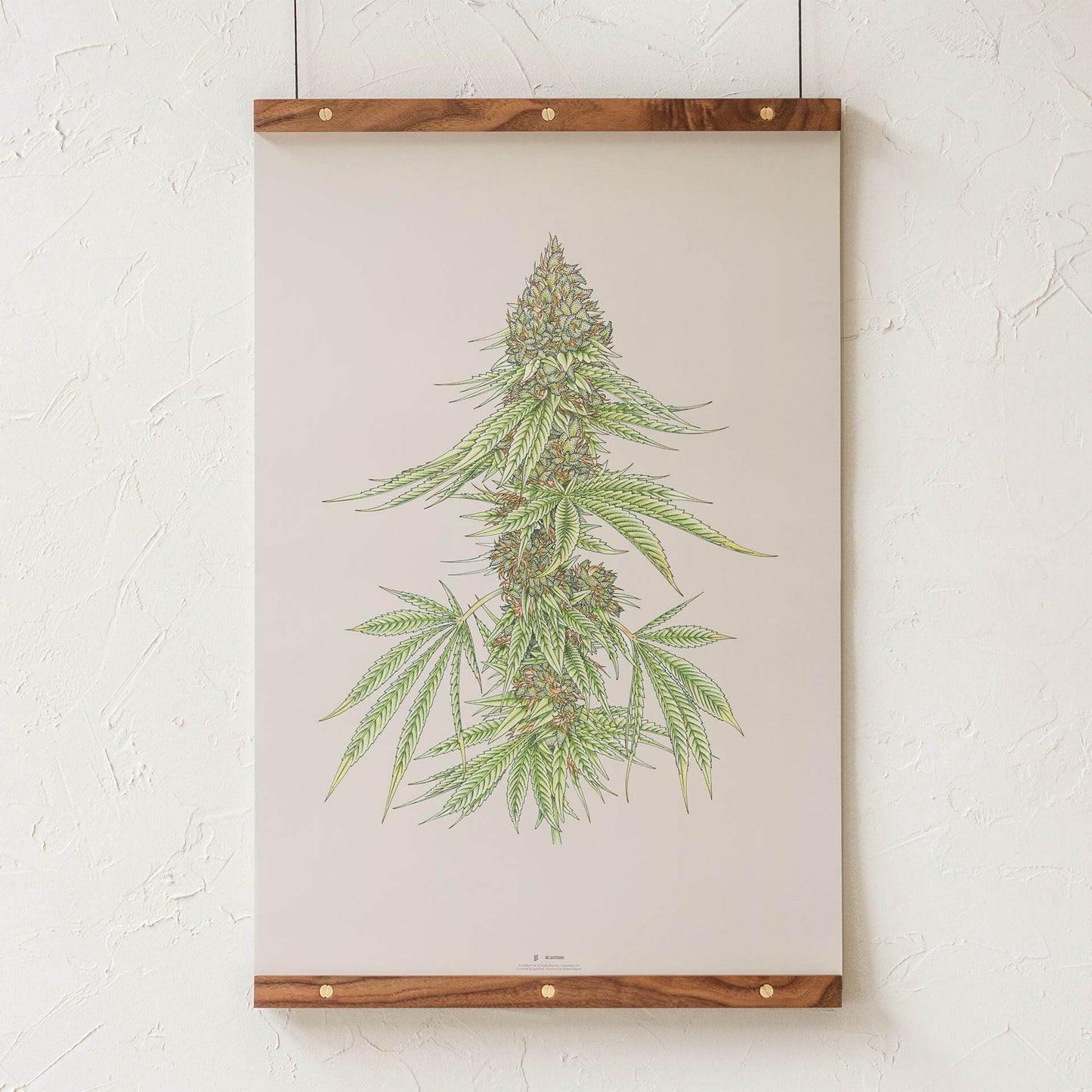 GoldLeaf White99 #1 Botanical Illustration Print Best Sales Price - Art Prints