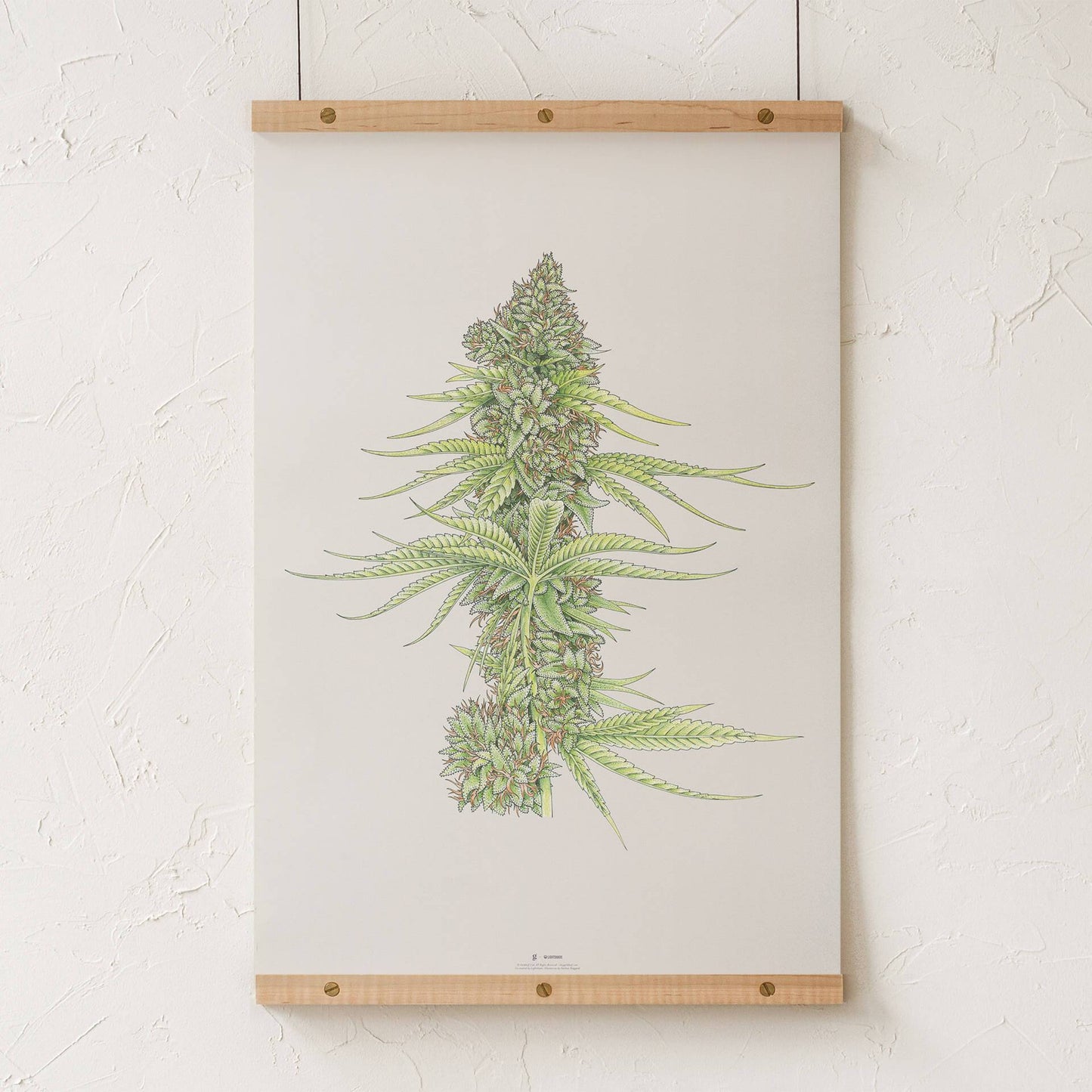 GoldLeaf White99 #2 Botanical Illustration Print Best Sales Price - Art Prints