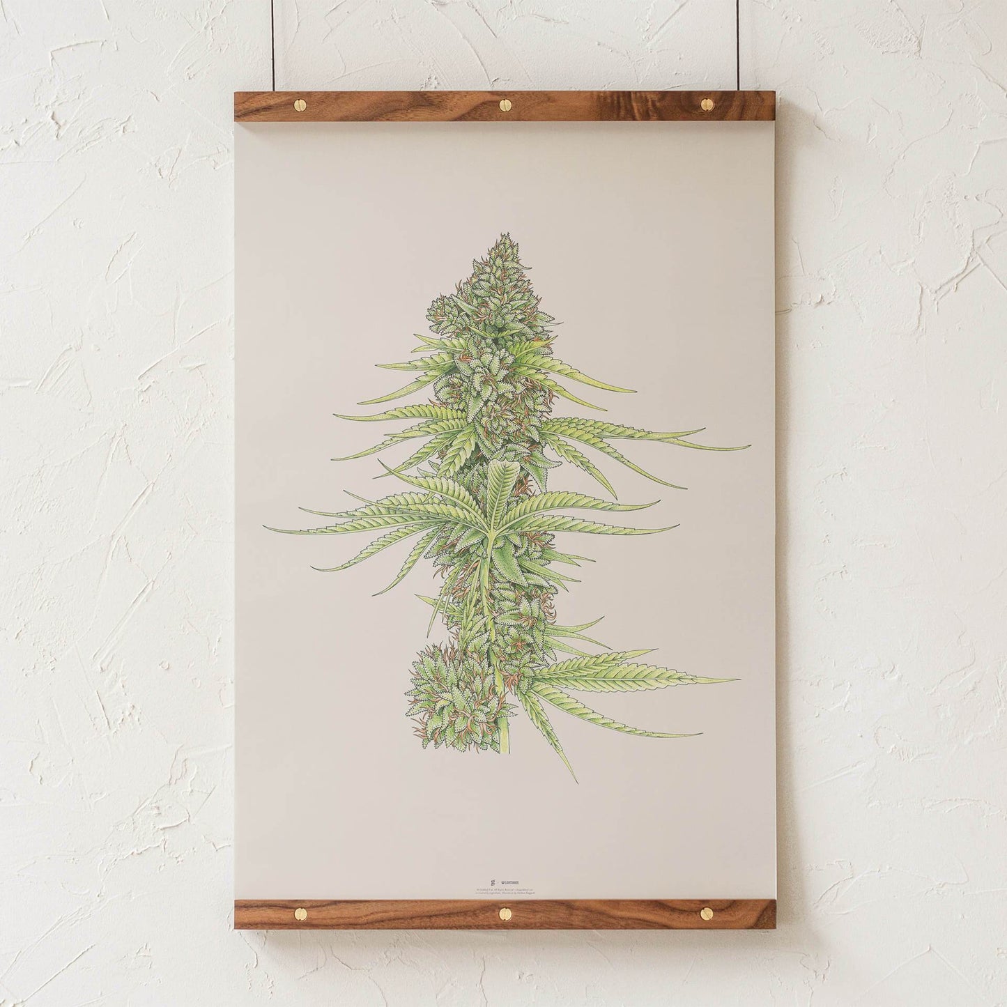 GoldLeaf White99 #2 Botanical Illustration Print Best Sales Price - Art Prints