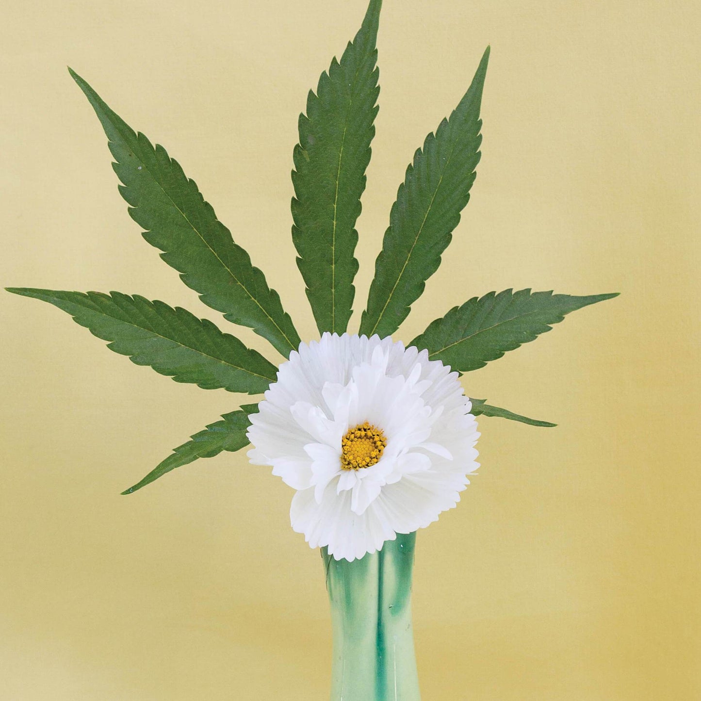 GoldLeaf Yellow Ikebana Art Print Best Sales Price - Art Prints