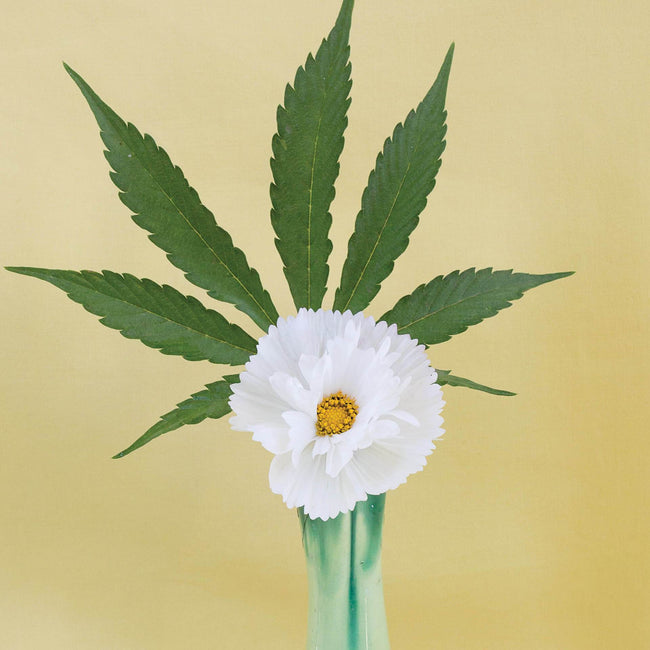 GoldLeaf Yellow Ikebana Art Print Best Sales Price - Art Prints