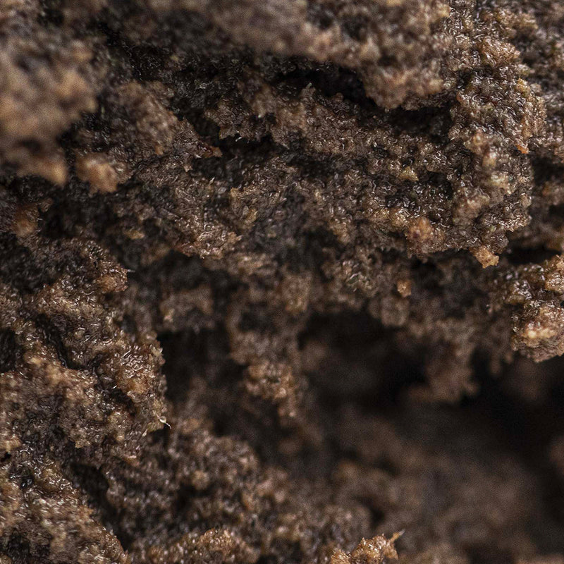 MAMA KANA CBD Holy Hash CBD 20% + CBN 20% 😇 Best Sales Price - CBD