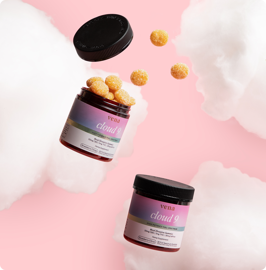 Vena Girls Night Out Bundle