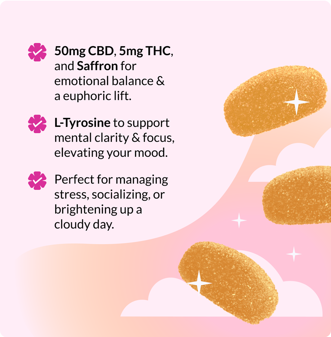 Vena Girls Night Out Bundle