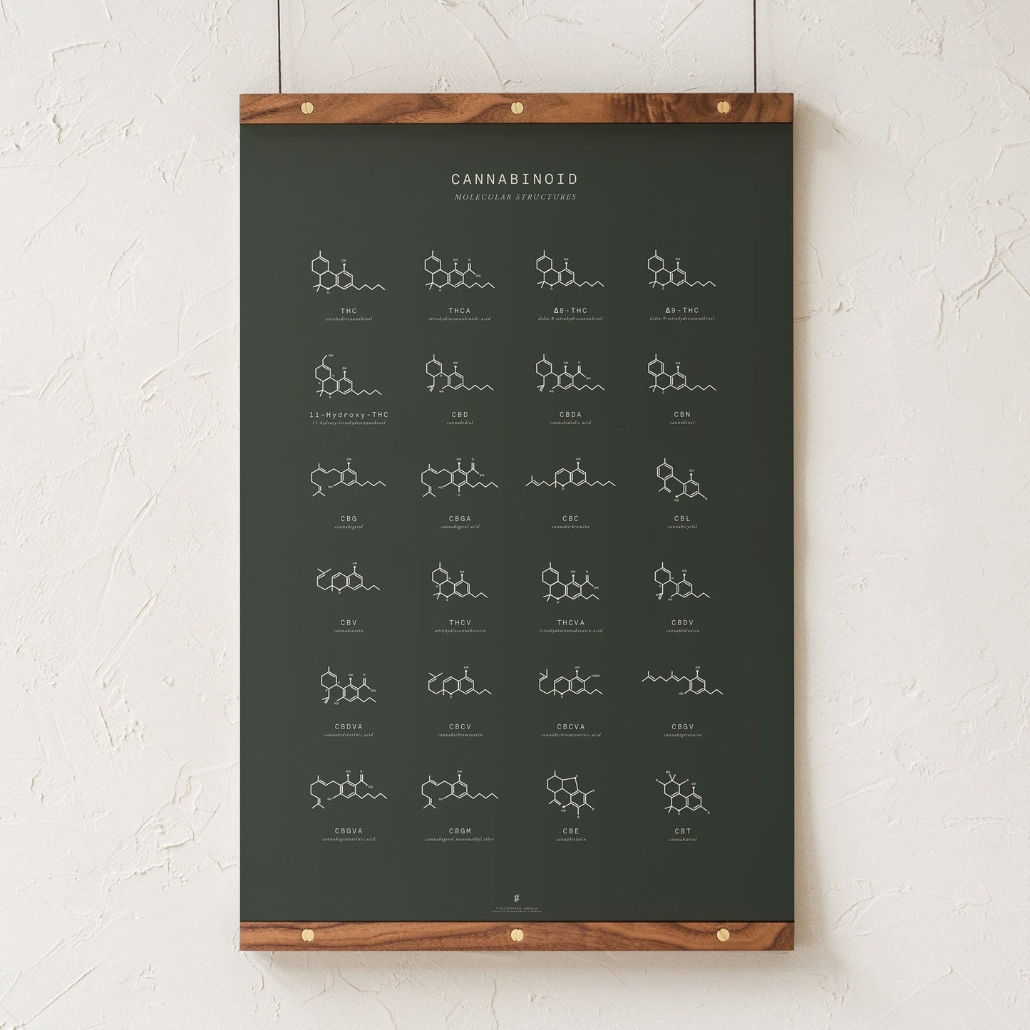 GoldLeaf Cannabinoid Molecular Structures Chart Print Best Sales Price - Art Prints
