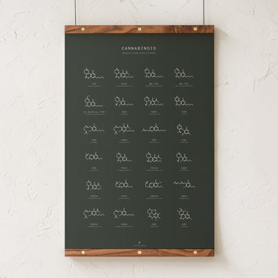 GoldLeaf Cannabinoid Molecular Structures Chart Print Best Sales Price - Art Prints