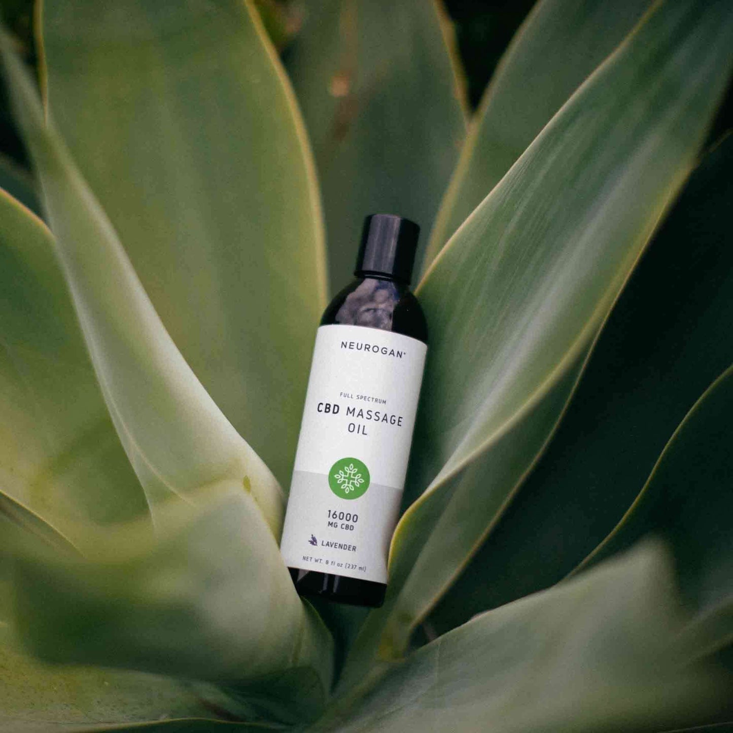 Neurogan CBD Massage Oil