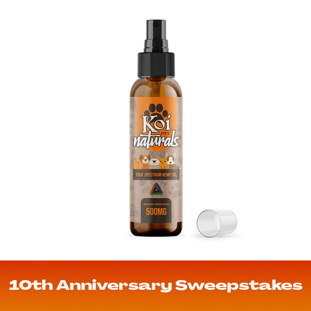 Koi Naturals CBD Pet Spray Best Sales Price - Pet CBD