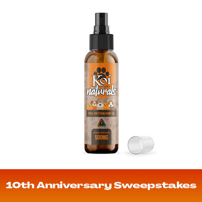 Koi Naturals CBD Pet Spray Best Sales Price - Pet CBD