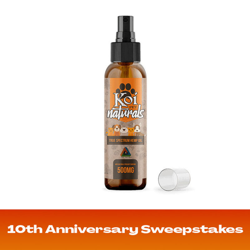 Koi Naturals CBD Pet Spray Best Sales Price - Pet CBD