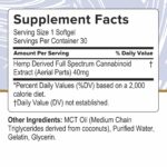 Bulk CBD Capsules | 1,200mg (3-Pack)