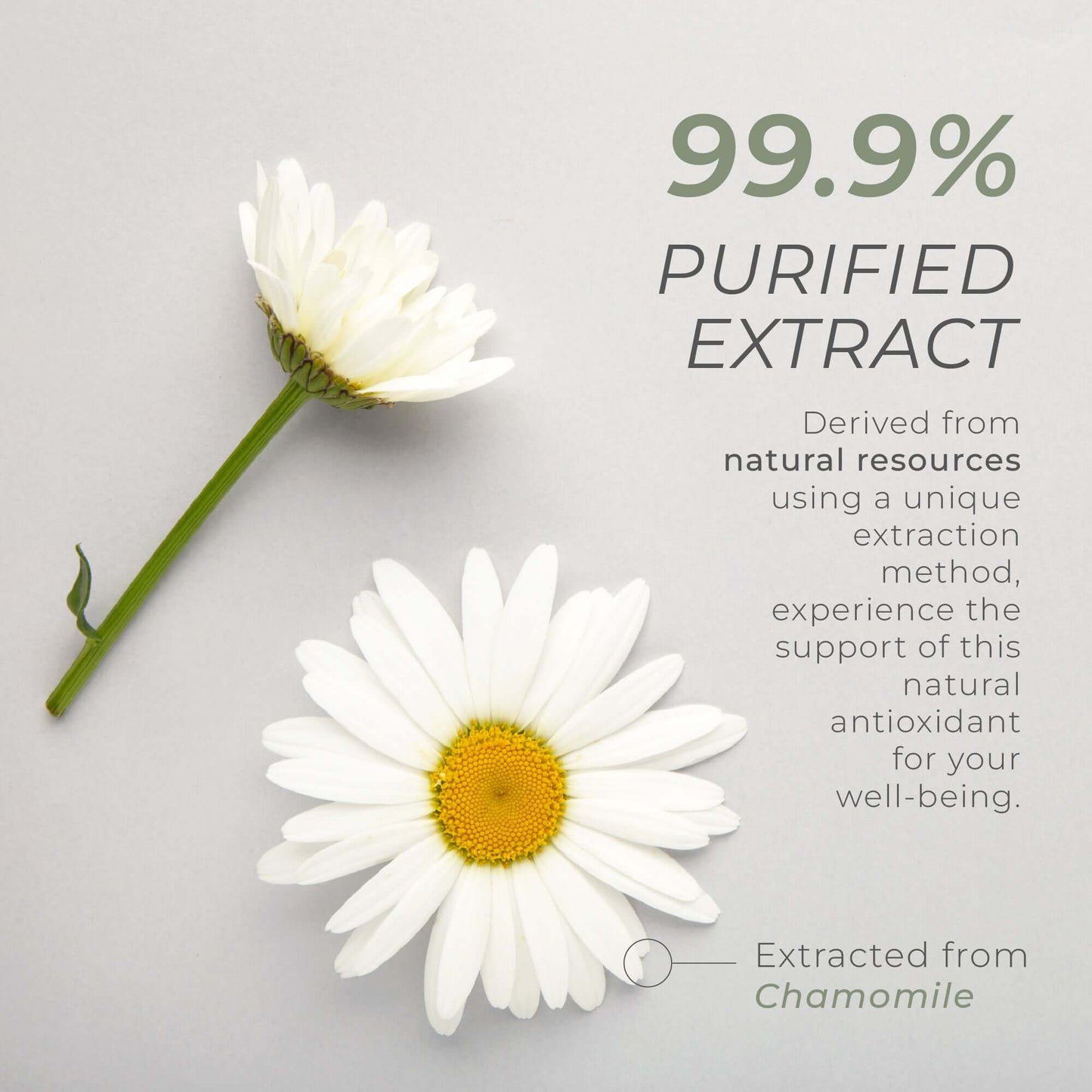 Neurogan Health Apigenin Capsules