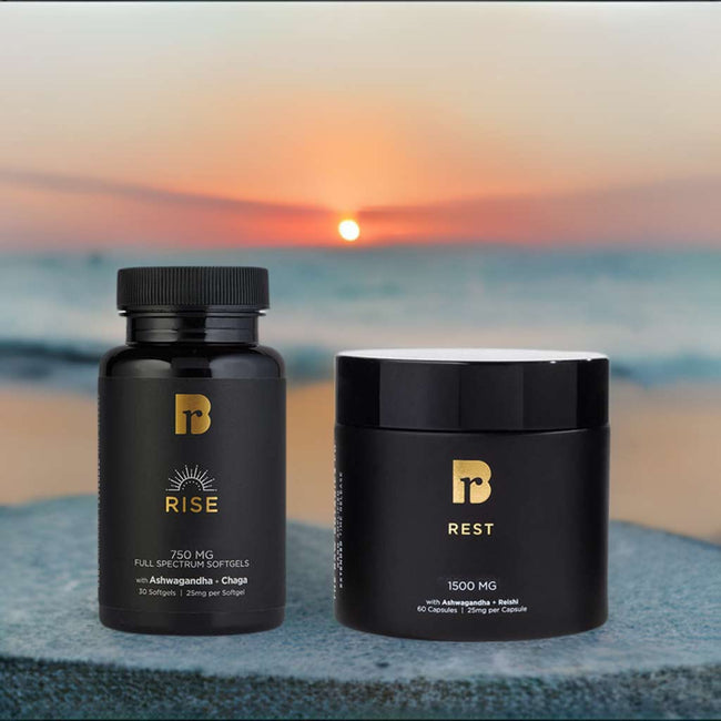 SUNUP to SUNDOWN BUNDLE - Reishi & Chaga Mushroom, CBD, & CBD/CBN Softgels