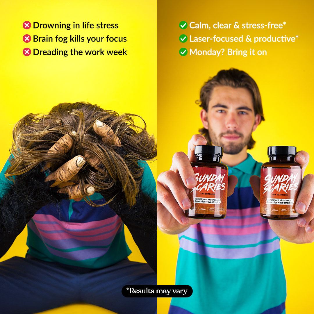 Mushroom Gummies for Focus Best Sales Price - Gummies